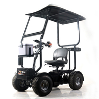 scooter per mobilità golf a quattro ruote personalizzato con tetto soleggiato