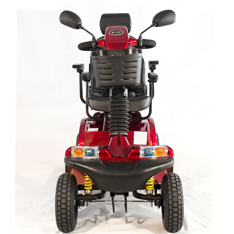 Scooter per la mobilità turistica con motore brushless a quattro ruote personalizzato
