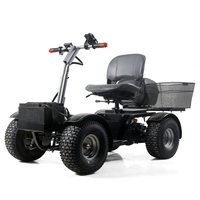 Il parco motori brushless WISKING utilizza lo scooter per la mobilità per il golf